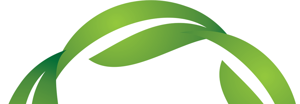 Ring Green Gradient Top