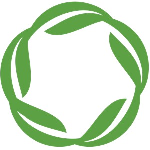 SCOPE open access article published in Drug Safety  